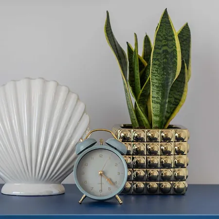 Cozy With Parking & Terrace By Renters