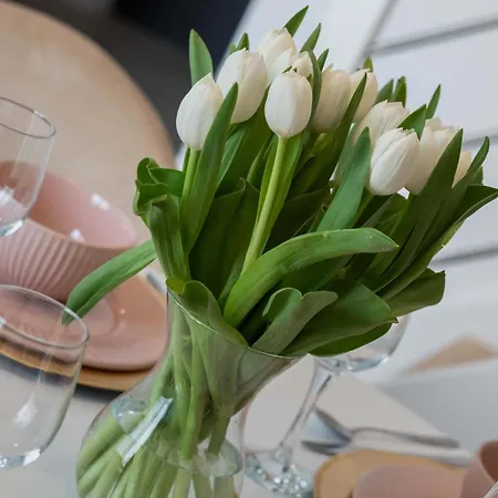 Apartament Cozy With Parking & Terrace By Renters *